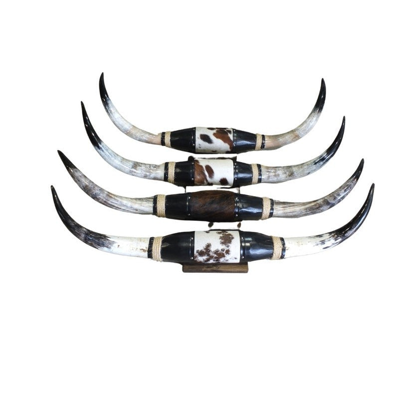 Mounted Polished Longhorn