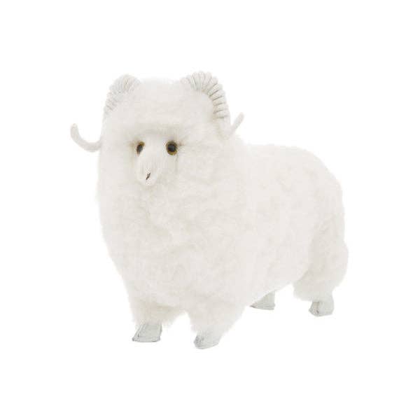 Sheepskin Ram