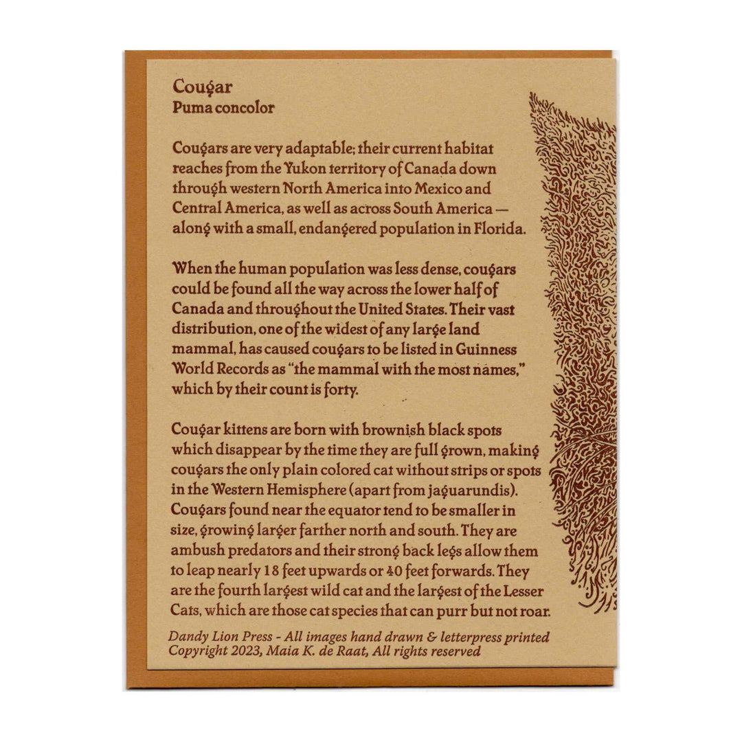 Cougar Mountain Lion Card