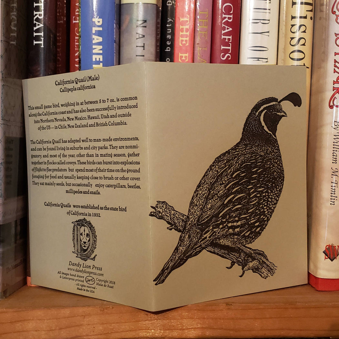 California Quail Card