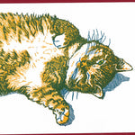 Load image into Gallery viewer, Keeping One Eye Open Cat Card