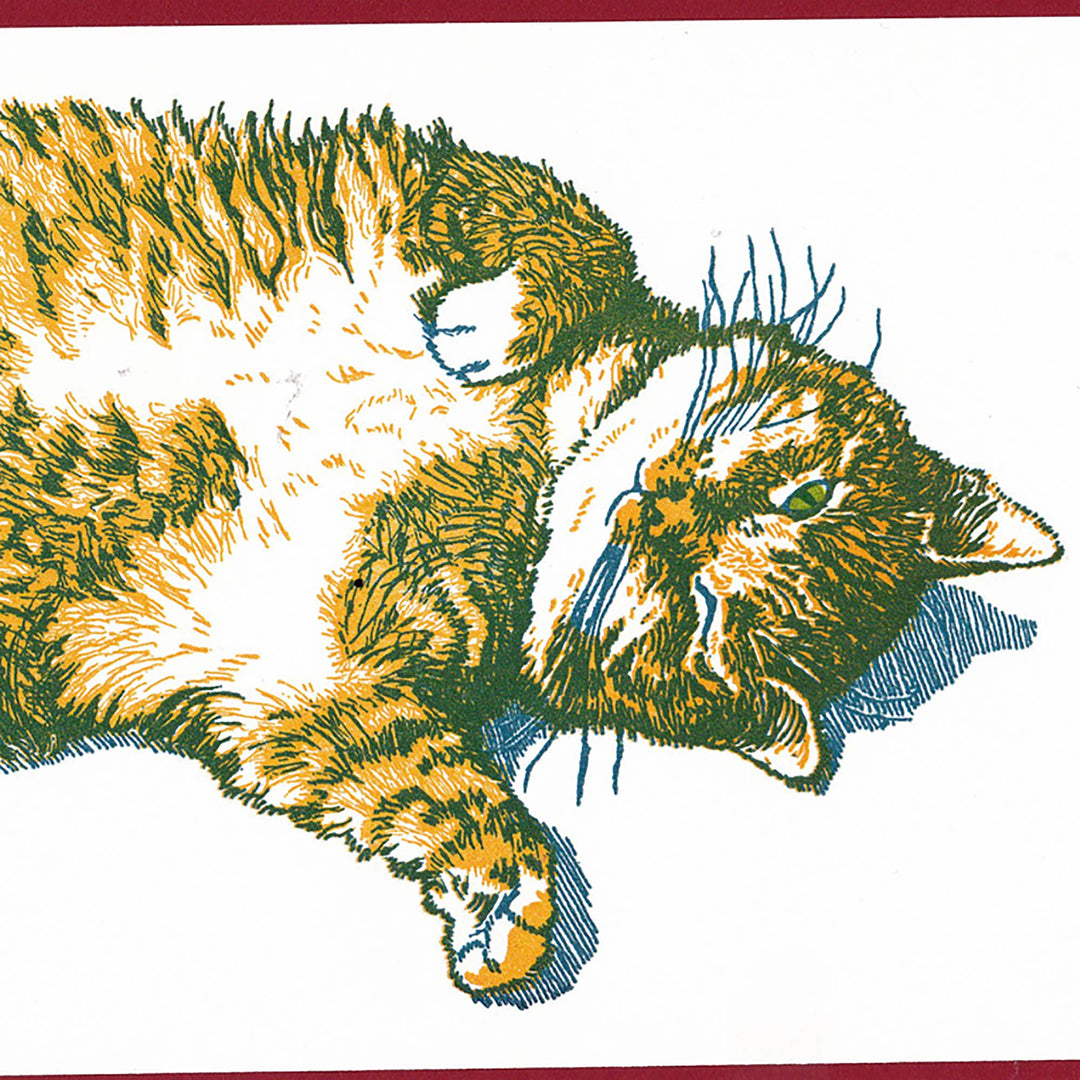 Keeping One Eye Open Cat Card