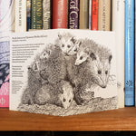 Load image into Gallery viewer, Mother Opossum and Joeys Card