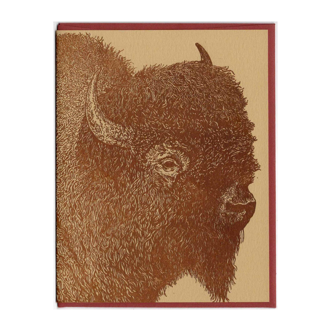 American Plains Bison Card