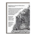 Load image into Gallery viewer, Mother Opossum and Joeys Card