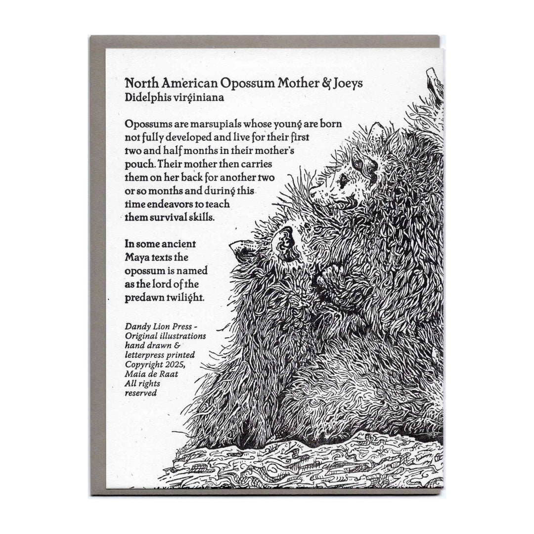 Mother Opossum and Joeys Card