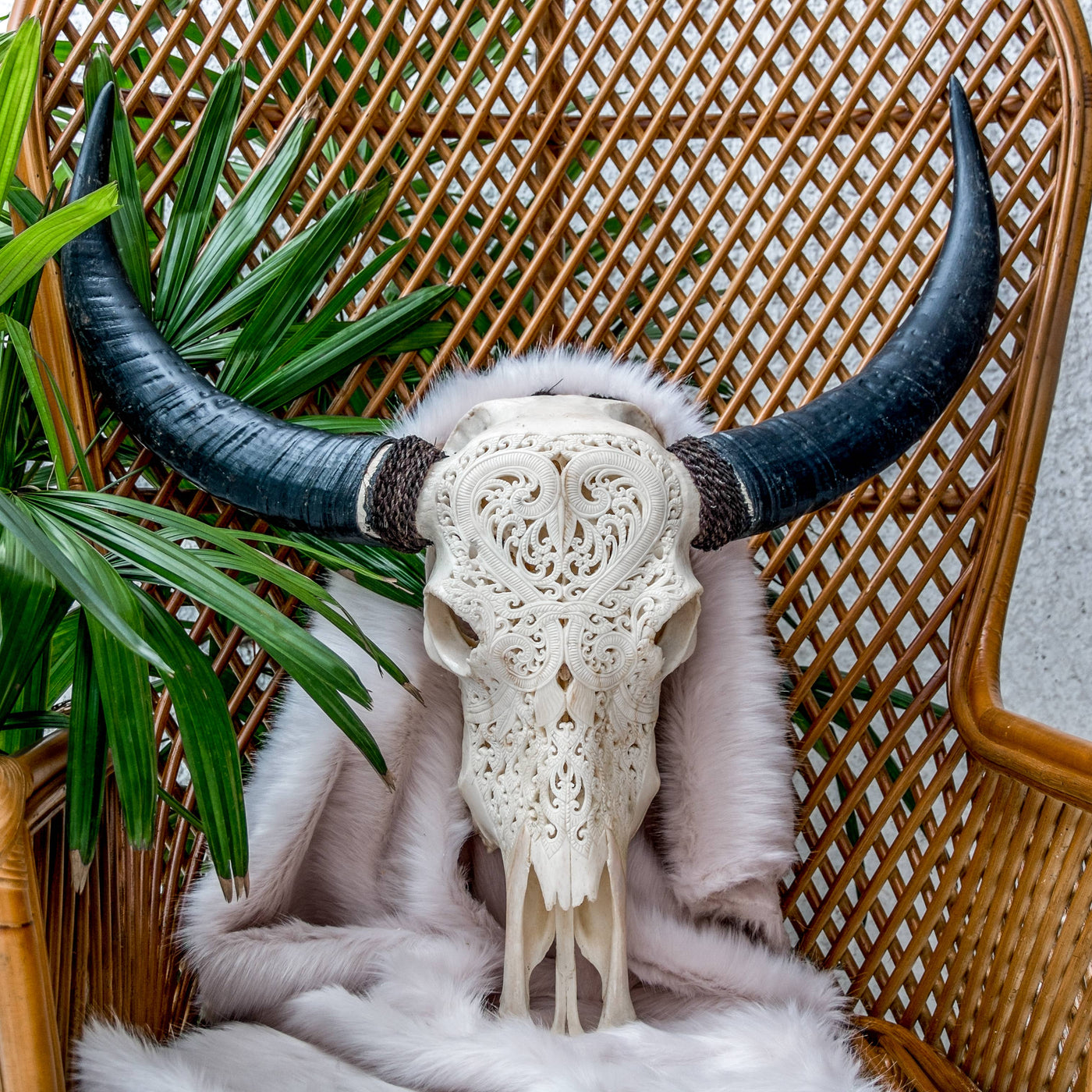 Hand Carved Buffalo Skull - Heart 1