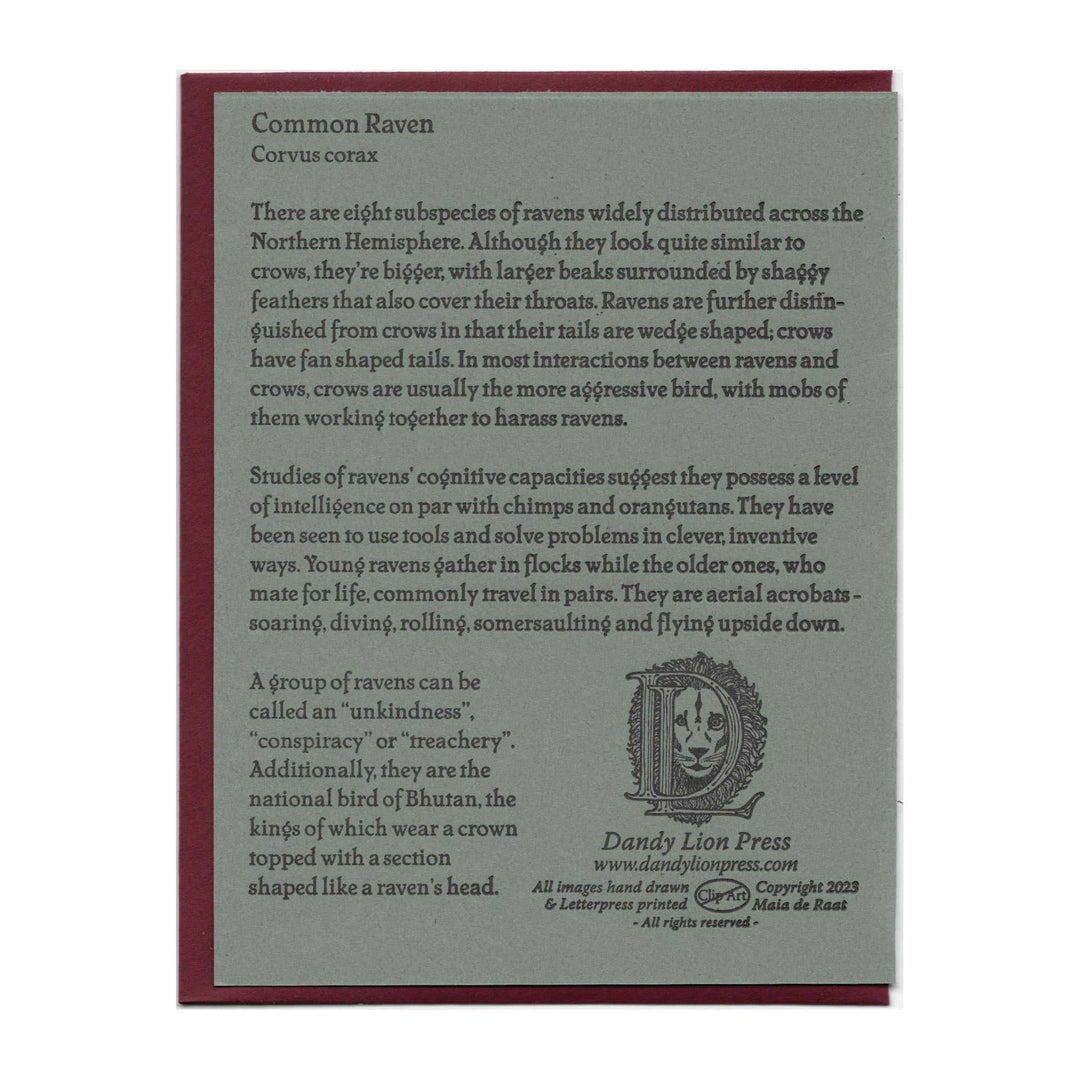 Common Raven Card