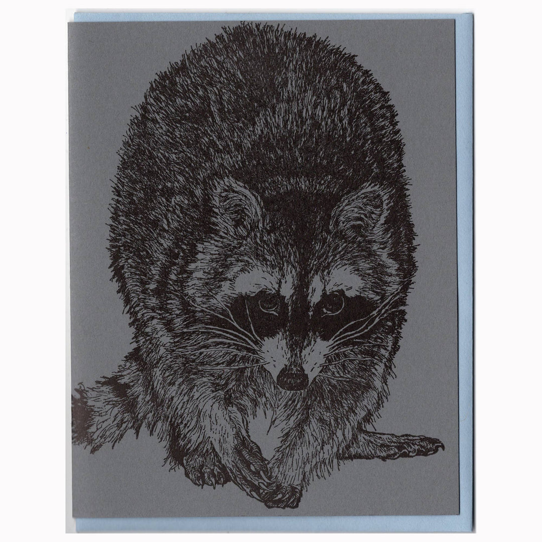 Raccoon Card