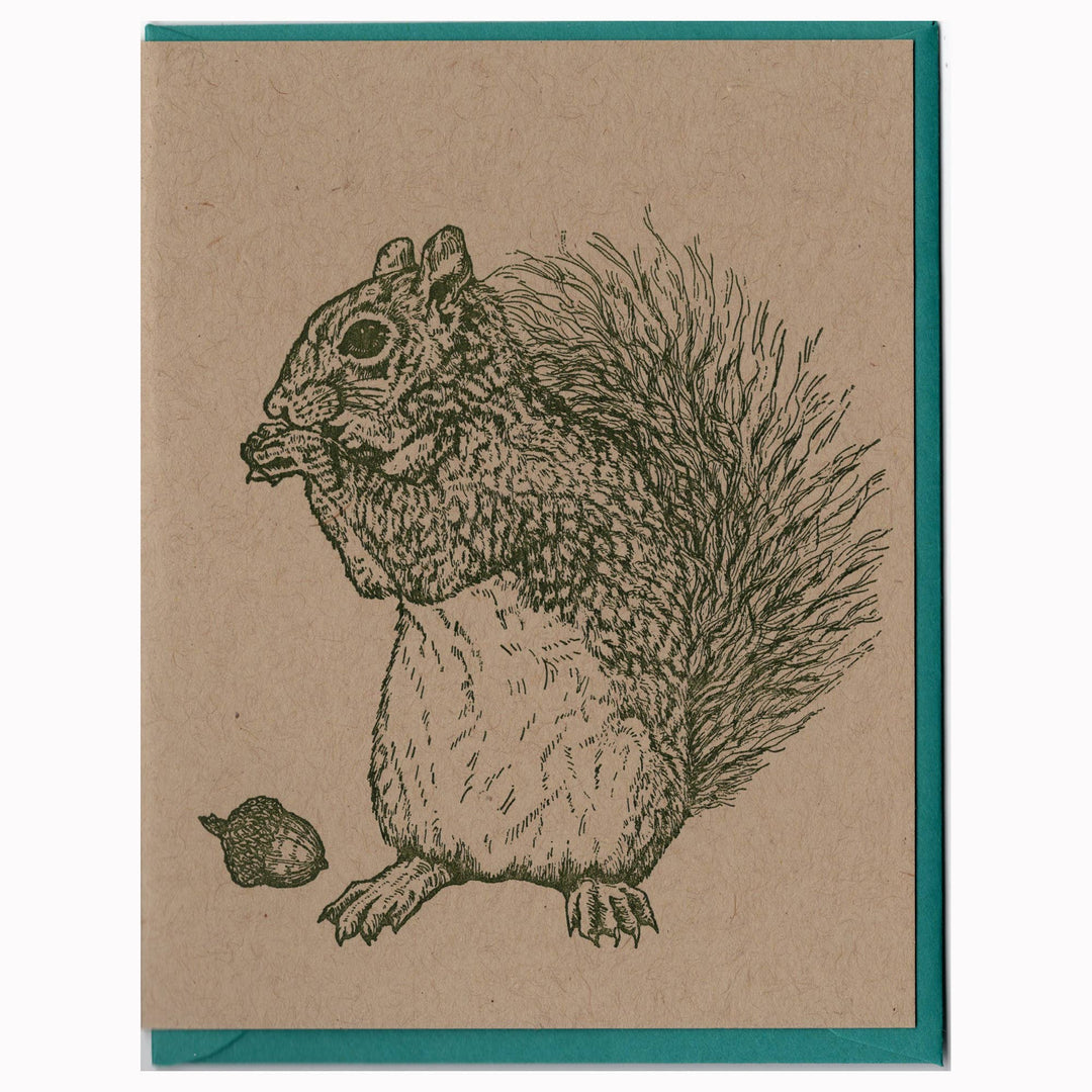 Grey Squirrel Card