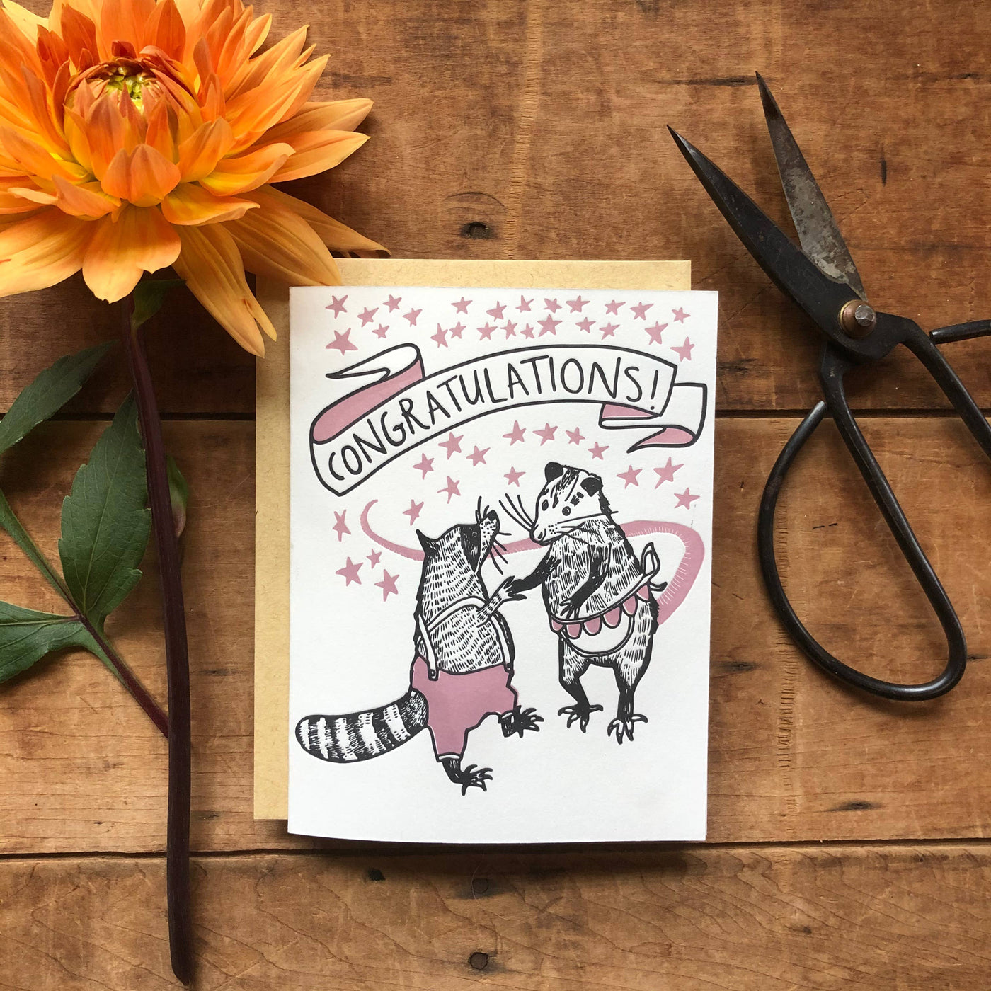 Raccoon Possum Congrats Card