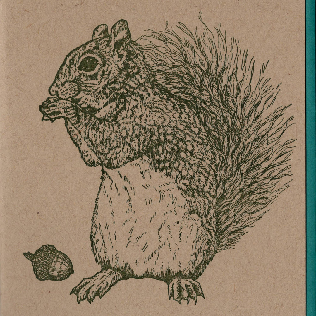 Grey Squirrel Card