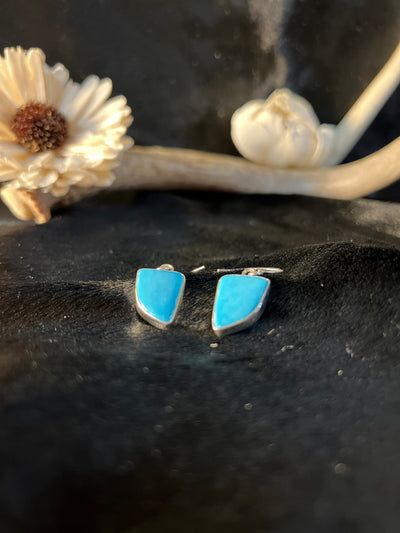 Sleeping Beauty Turquoise Earrings