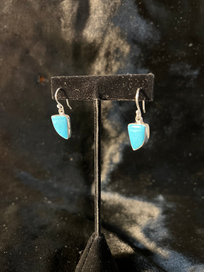 Sleeping Beauty Turquoise Earrings