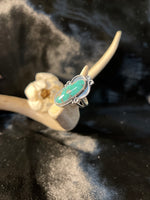 Load image into Gallery viewer, Waterweb Campitos Turquoise Oval Ring
