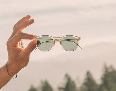 Yuba Clear Forest Sunglasses