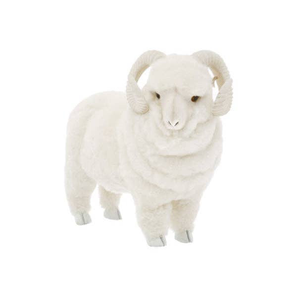 Sheepskin Ram