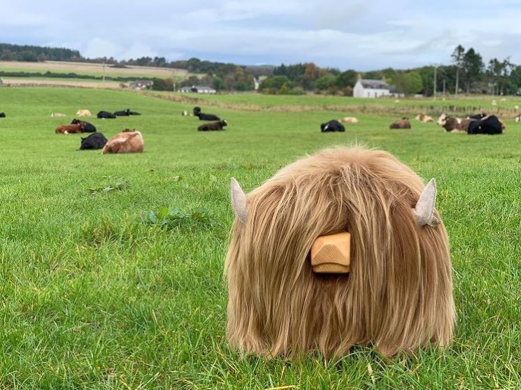 Highland Cow Footstool - Honey